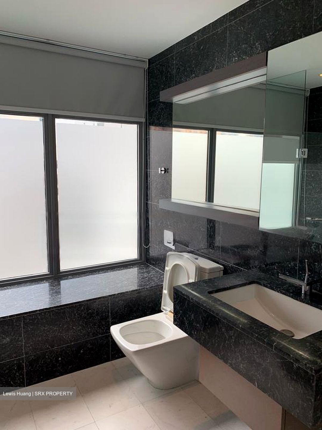 Starlight Suites (D9), Apartment #458863071